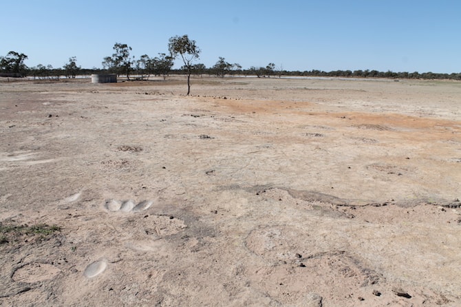 Kooma Green School - Murra Murra - Axe And Seed Grinding Grooves