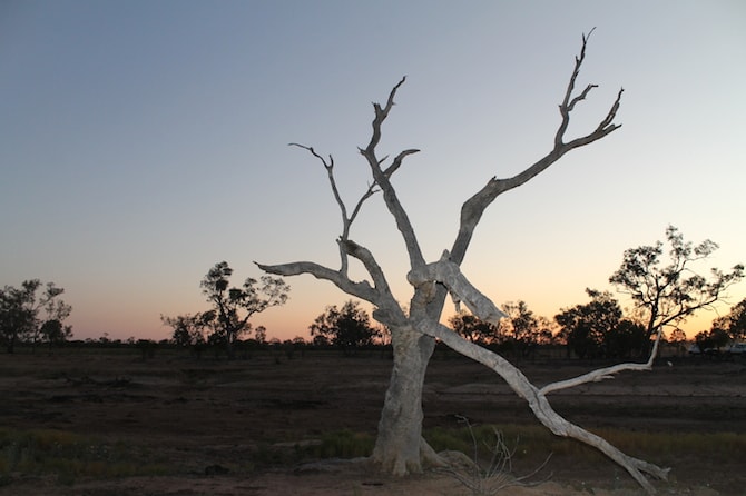 Kooma Green School - Murra Murra - Sunset