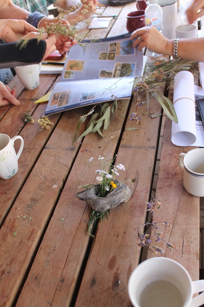 Kooma Green School - Murra Murra - Nature Discussions